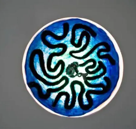 Luxury Flat In דירה