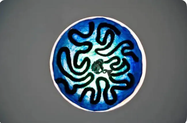 Luxury Flat In Apartament